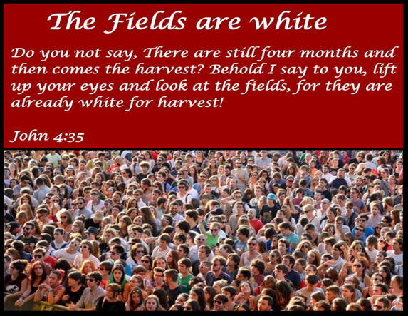 Churchill church; The Fields Are White Harvest poster
